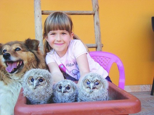 Na kmetiji v Bodoncih so sove postale prijateljice Vidonjevih